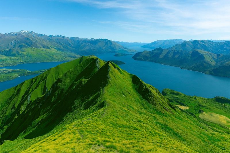 Landscape Planning Service