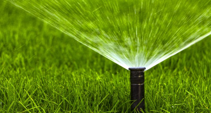 Winter Protection for Sprinklers