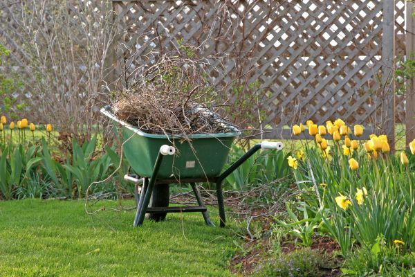Flower Bed Cleanup Service in Fenton