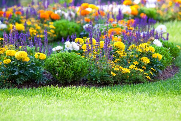Flower Bed Maintenance in Fenton