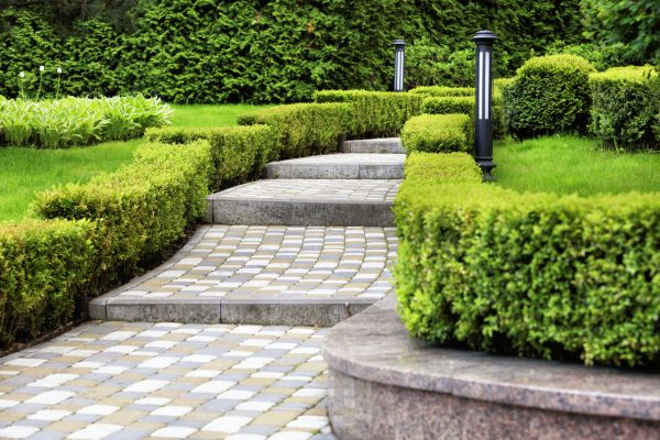 Backyard Remodeling in Fenton