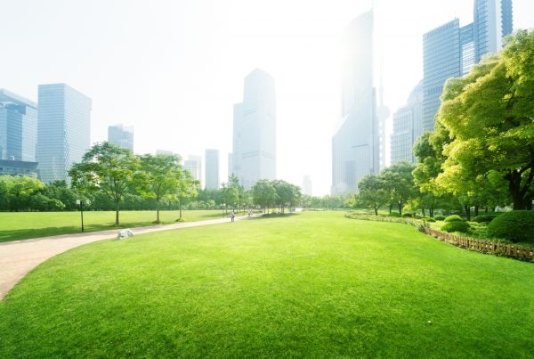 Commercial Landscape Maintenance in Fenton