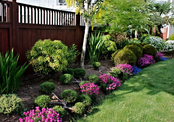 Garden Care Service in Fenton
