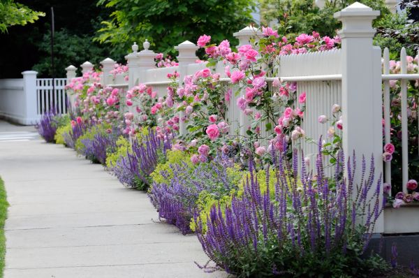 Garden Handyman Service in Fenton