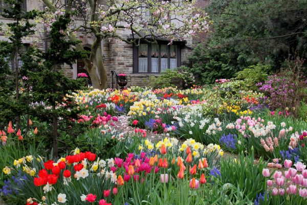 Garden Maintenance Service in Fenton