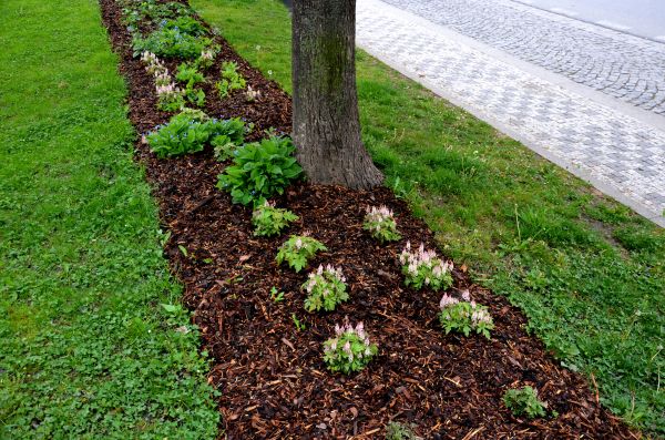 Mulch Replacement Service in Fenton