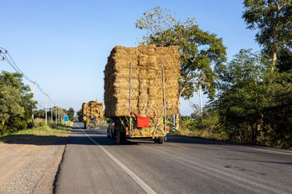 Pine Straw Delivery in Fenton