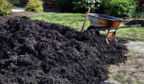 Black Mulch Delivery in Fenton
