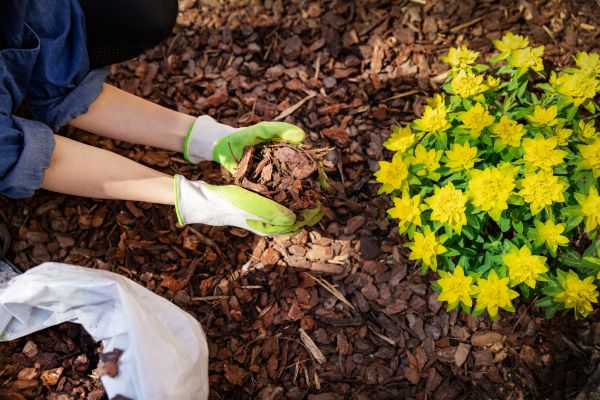 Garden Mulching in Fenton