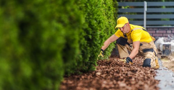 Cypress Mulch Installation in Fenton