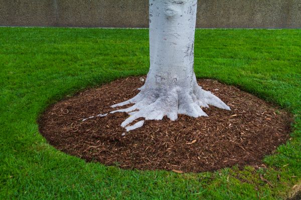 Brown Mulch Installation in Fenton