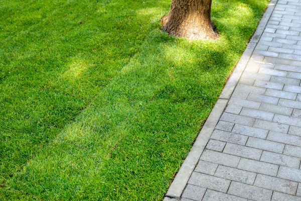 Border Stone Installation in Fenton