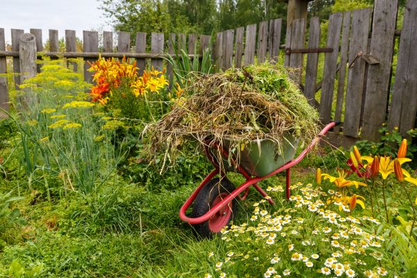 Garden Cleanup Service in Fenton