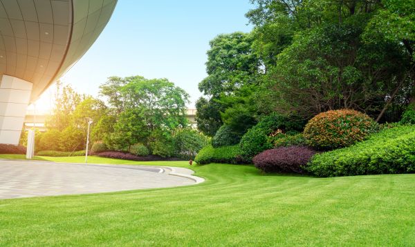 Business Landscape Design in Fenton