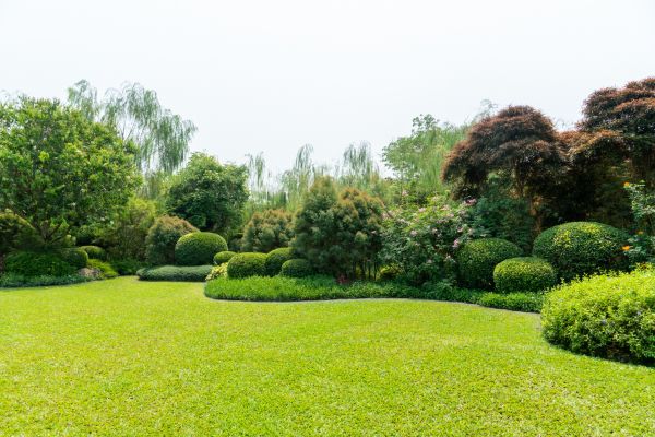Tree Landscaping in Fenton