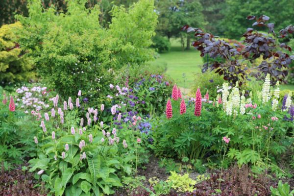 Flower Bed Planting in Fenton