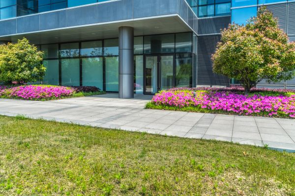 Commercial Gardening in Fenton