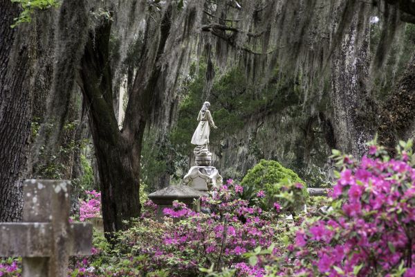 Cemetery Landscaping in Fenton