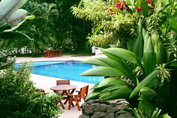 Tropical Garden Landscaping in Fenton