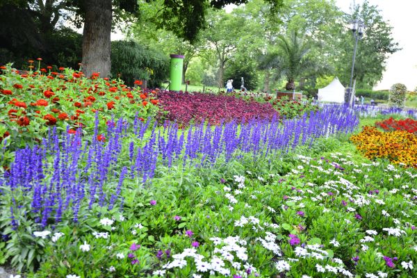 Perennials Planting in Fenton