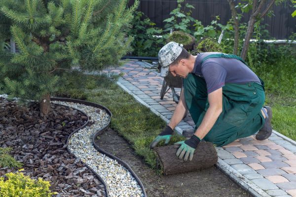 Landscaping Modification in Fenton
