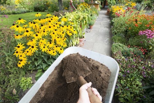 Topsoil Replacement in Fenton