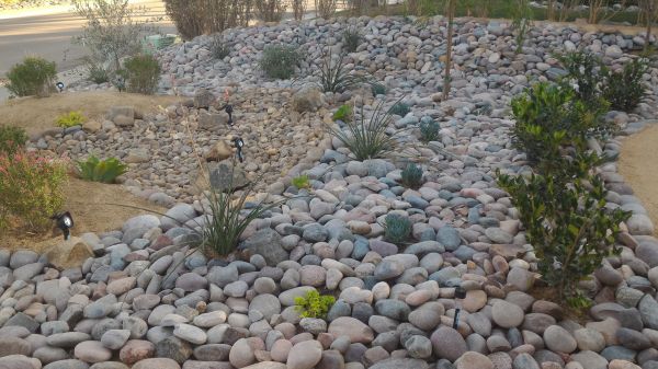 Yard Xeriscaping in Fenton
