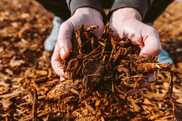 Bark Chips Delivery in Fenton
