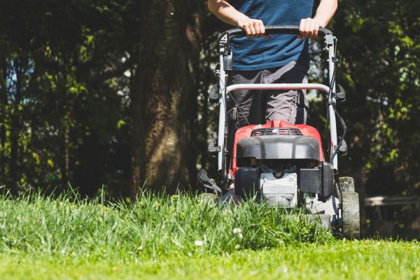 Garden Trimming Service in Fenton