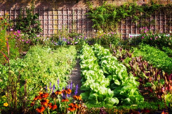 Garden Planting Service in Fenton