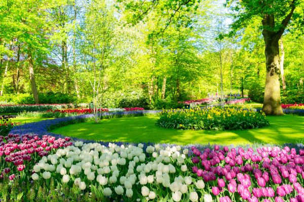 Flower Landscaping in Fenton