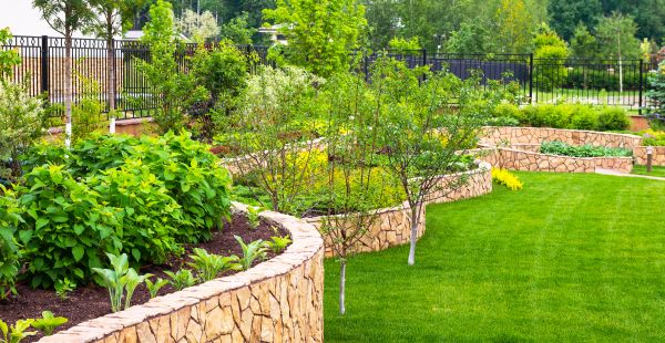 Yard Makeover Service in Fenton