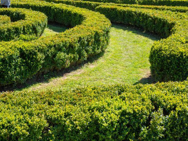 Bush Landscaping in Fenton