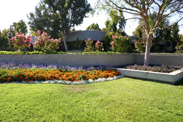 Commercial Landscape Service in Fenton