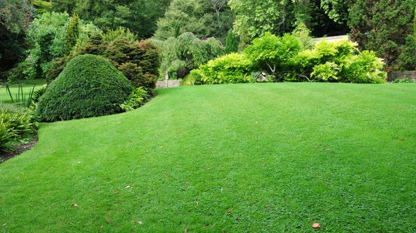 Commercial Landscape Design in Fenton