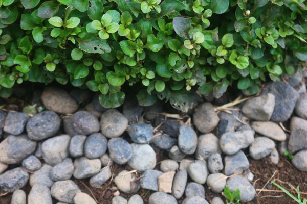 River Stone Installation in Fenton