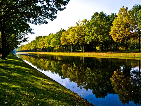 Bank Landscaping in Fenton