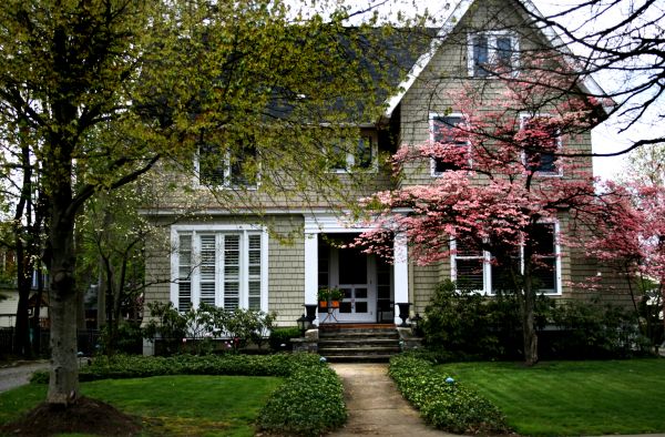 Ornamental Tree Planting in Fenton