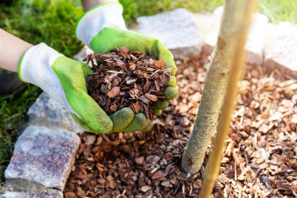 Tree Bark Delivery in Fenton