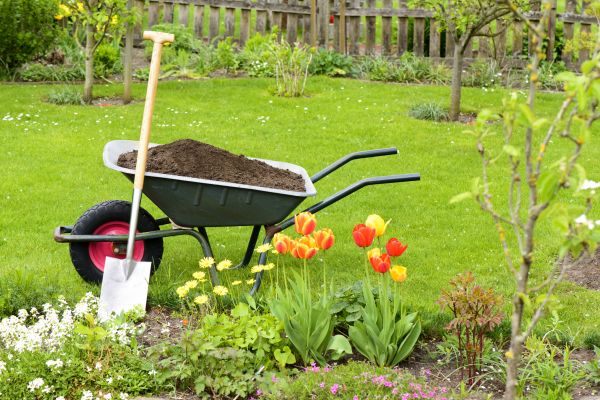 Spring Yard Renovation in Fenton
