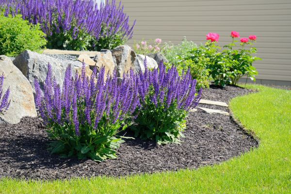 Landscape Planting Service in Fenton