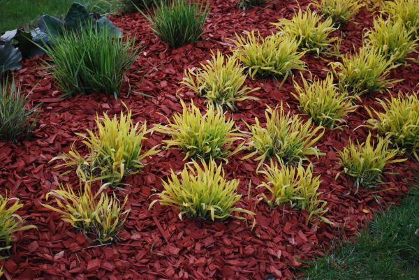 Red Mulch Installation in Fenton