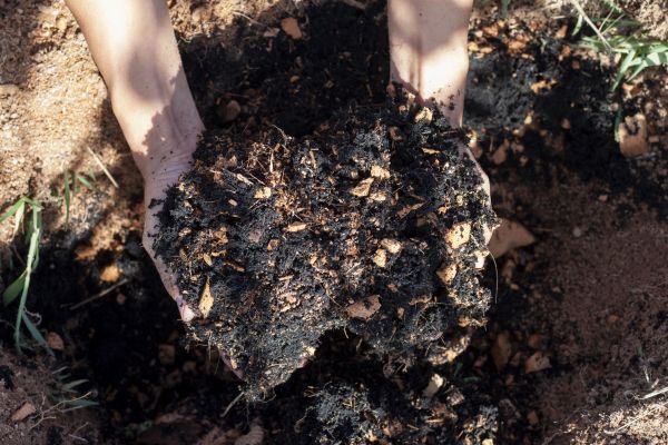 Organic Mulch Installation in Fenton
