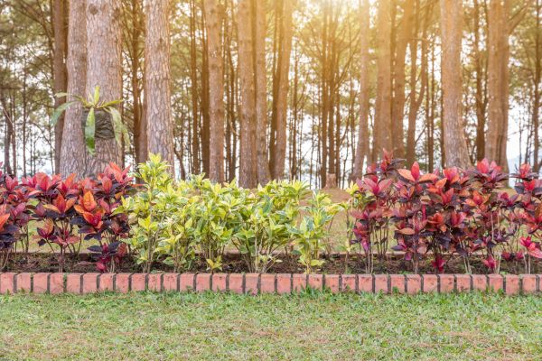 Small Garden Landscaping in Fenton