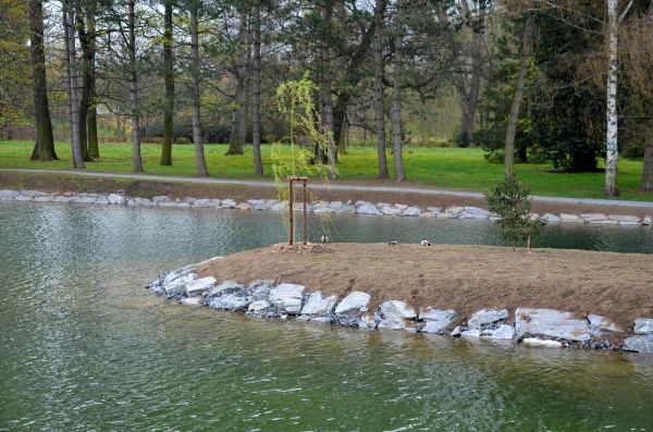 Pond Landscaping Service in Fenton