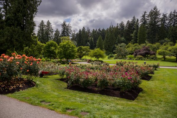 Flower Garden Landscaping in Fenton