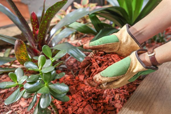 Cedar Mulch Installation in Fenton