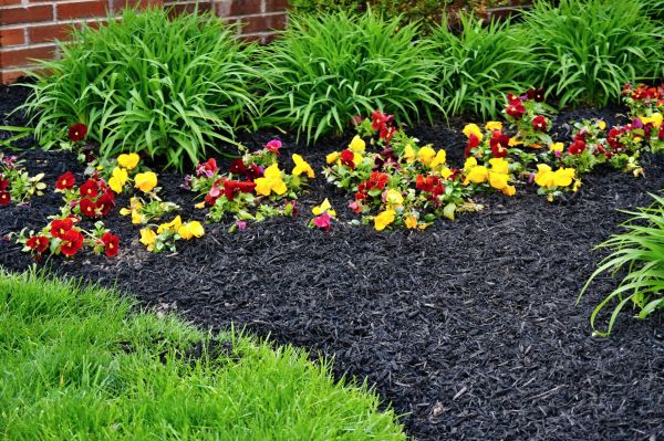 Apartment Mulching in Fenton